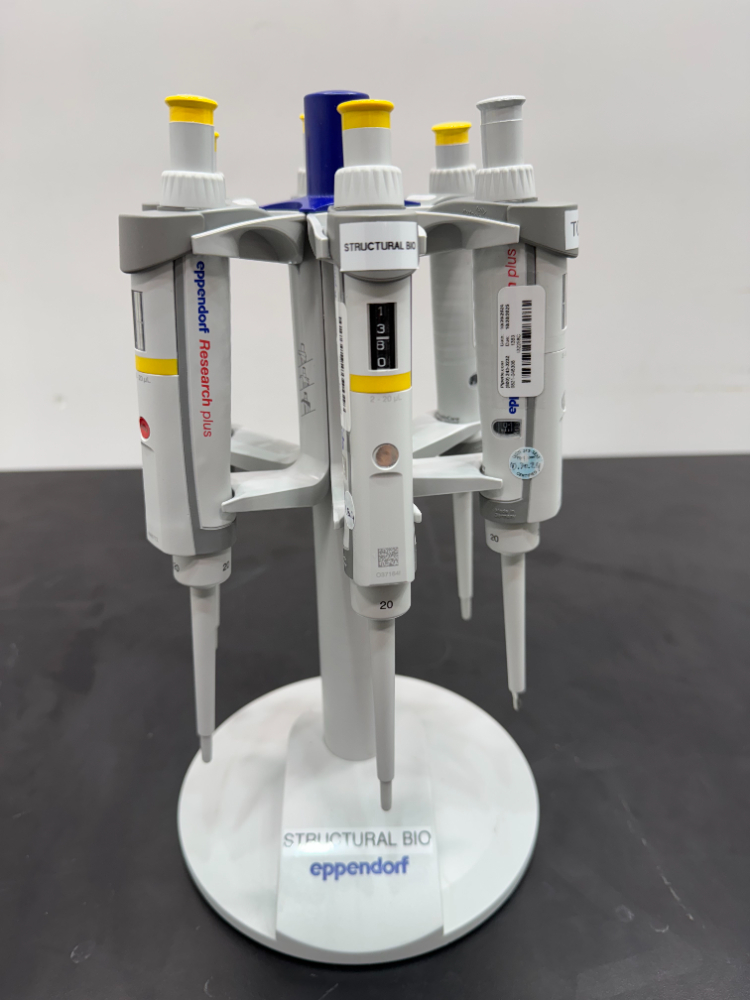 Image of Eppendorf Single Chanel Pipets; Quantity: 6